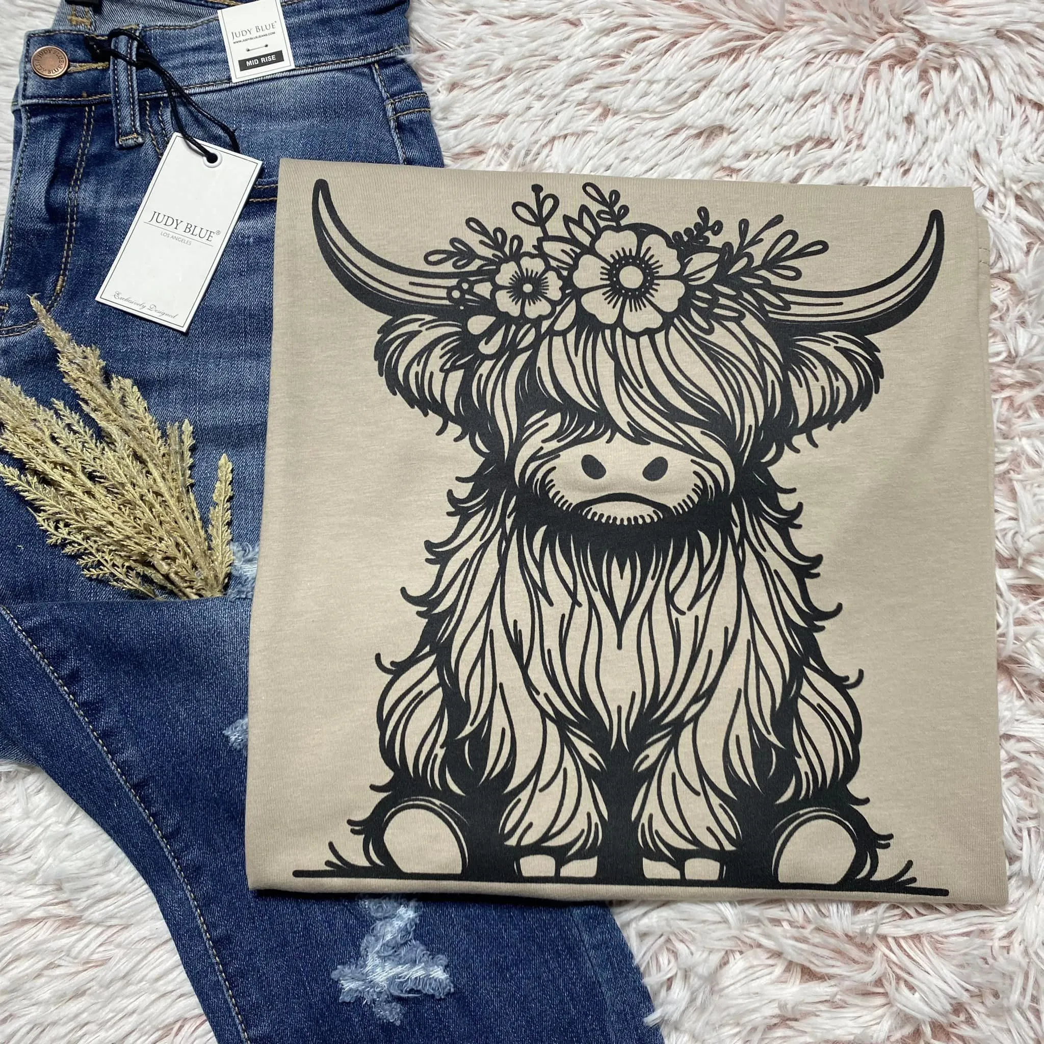 Shaggy Highland Cow
